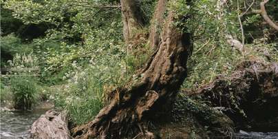 Best Way to Do Eco and Agriculture